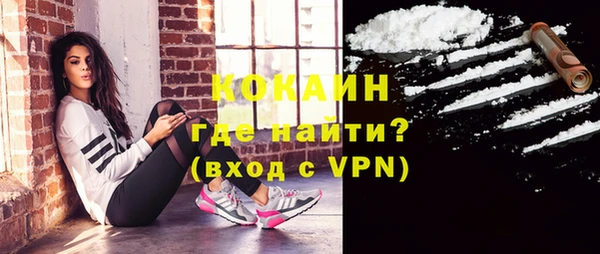 крисы Белокуриха