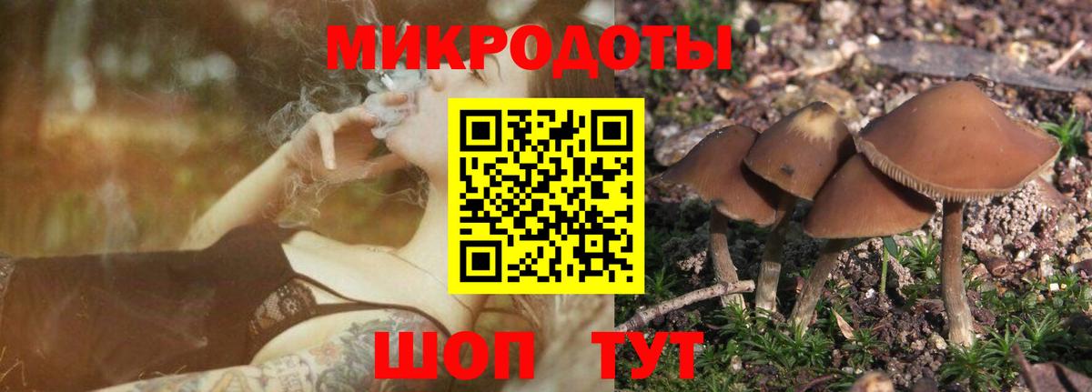Гулькевичи  купить   Вход с VPN  Псилоцибиновые грибы мицелий  Псилоцибиновые грибы Psilocybe 